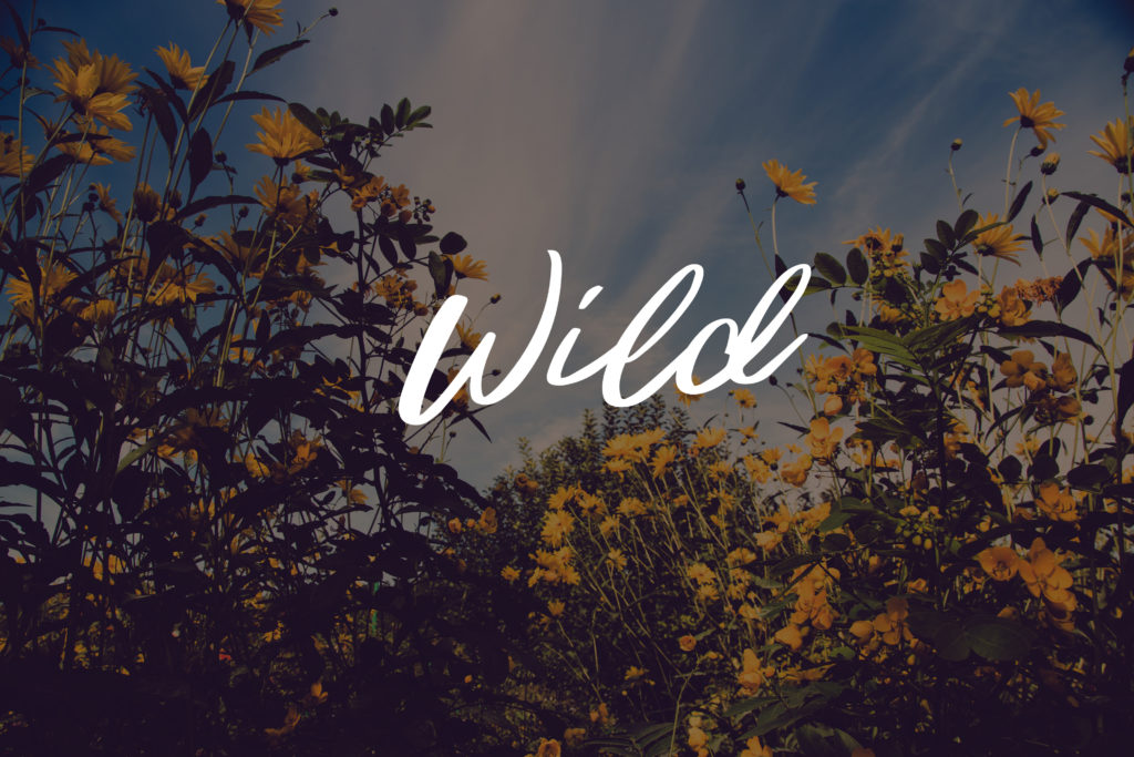 wild